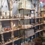 329441034_2158337764350679_3042310491443603545_n